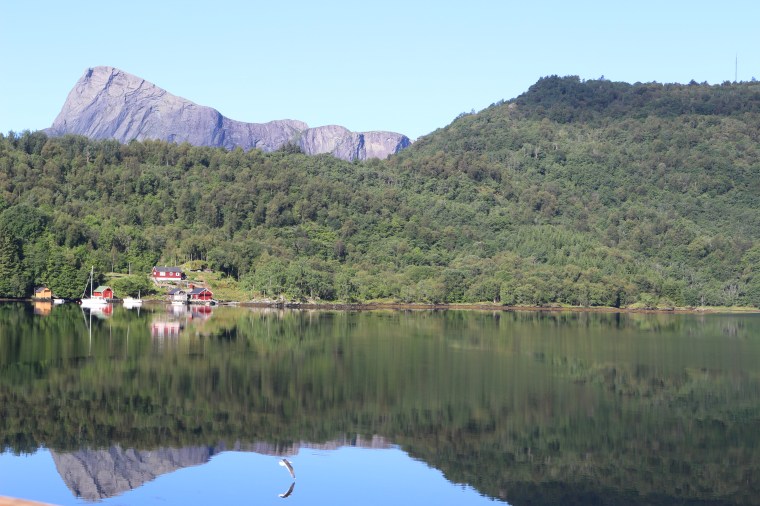 Roadtrip en Norvège : la route des fjords